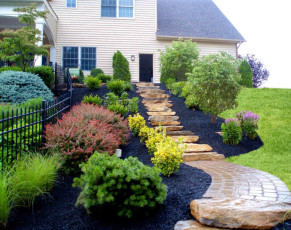 Steps & Stoops